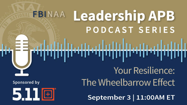 Your Resilience: The Wheelbarrow Effect
