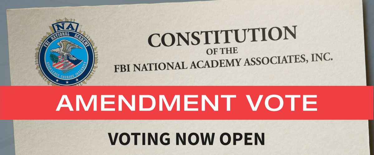 Constitution Amendment Vote Open